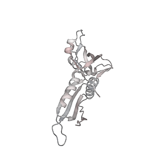 21494_6vzj_AD_v1-1
Escherichia coli transcription-translation complex A1 (TTC-A1) containing mRNA with a 15 nt long spacer, fMet-tRNAs at E-site and P-site, and lacking transcription factor NusG