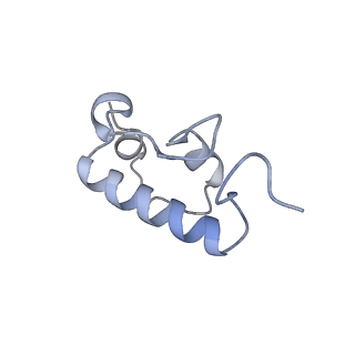 21494_6vzj_C_v1-1
Escherichia coli transcription-translation complex A1 (TTC-A1) containing mRNA with a 15 nt long spacer, fMet-tRNAs at E-site and P-site, and lacking transcription factor NusG