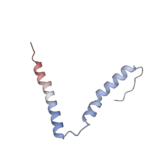 21494_6vzj_F_v1-1
Escherichia coli transcription-translation complex A1 (TTC-A1) containing mRNA with a 15 nt long spacer, fMet-tRNAs at E-site and P-site, and lacking transcription factor NusG