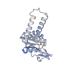 21494_6vzj_G_v1-1
Escherichia coli transcription-translation complex A1 (TTC-A1) containing mRNA with a 15 nt long spacer, fMet-tRNAs at E-site and P-site, and lacking transcription factor NusG