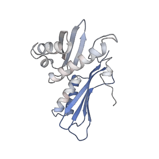 21494_6vzj_I_v1-1
Escherichia coli transcription-translation complex A1 (TTC-A1) containing mRNA with a 15 nt long spacer, fMet-tRNAs at E-site and P-site, and lacking transcription factor NusG