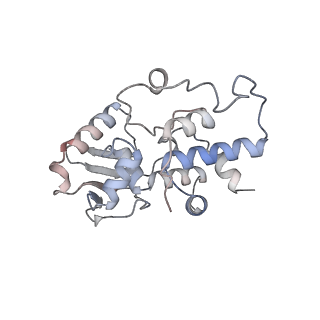 21494_6vzj_J_v1-1
Escherichia coli transcription-translation complex A1 (TTC-A1) containing mRNA with a 15 nt long spacer, fMet-tRNAs at E-site and P-site, and lacking transcription factor NusG