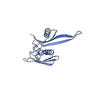 21494_6vzj_K_v1-1
Escherichia coli transcription-translation complex A1 (TTC-A1) containing mRNA with a 15 nt long spacer, fMet-tRNAs at E-site and P-site, and lacking transcription factor NusG