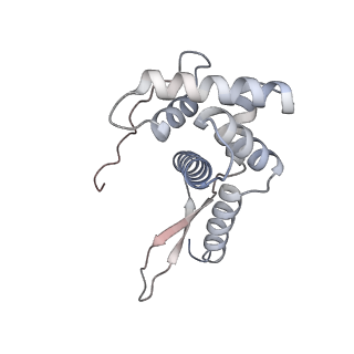 21494_6vzj_M_v1-1
Escherichia coli transcription-translation complex A1 (TTC-A1) containing mRNA with a 15 nt long spacer, fMet-tRNAs at E-site and P-site, and lacking transcription factor NusG