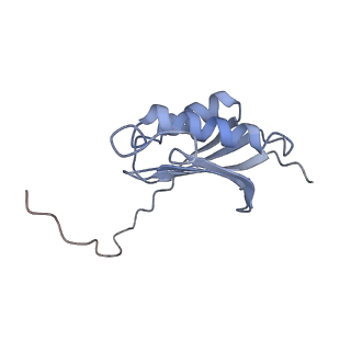 21494_6vzj_Q_v1-1
Escherichia coli transcription-translation complex A1 (TTC-A1) containing mRNA with a 15 nt long spacer, fMet-tRNAs at E-site and P-site, and lacking transcription factor NusG
