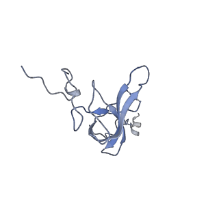 21494_6vzj_R_v1-1
Escherichia coli transcription-translation complex A1 (TTC-A1) containing mRNA with a 15 nt long spacer, fMet-tRNAs at E-site and P-site, and lacking transcription factor NusG