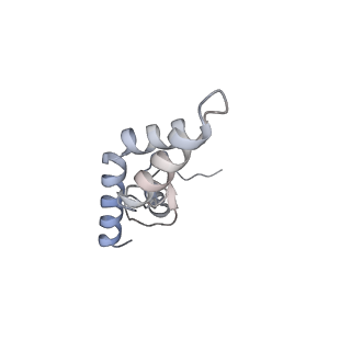 21494_6vzj_S_v1-1
Escherichia coli transcription-translation complex A1 (TTC-A1) containing mRNA with a 15 nt long spacer, fMet-tRNAs at E-site and P-site, and lacking transcription factor NusG