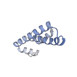 21494_6vzj_T_v1-1
Escherichia coli transcription-translation complex A1 (TTC-A1) containing mRNA with a 15 nt long spacer, fMet-tRNAs at E-site and P-site, and lacking transcription factor NusG