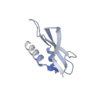 21494_6vzj_U_v1-1
Escherichia coli transcription-translation complex A1 (TTC-A1) containing mRNA with a 15 nt long spacer, fMet-tRNAs at E-site and P-site, and lacking transcription factor NusG