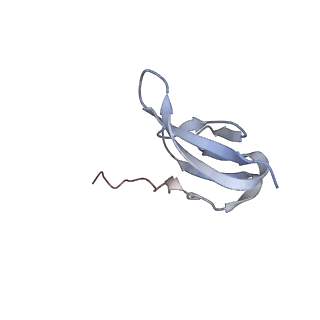 21494_6vzj_b_v1-1
Escherichia coli transcription-translation complex A1 (TTC-A1) containing mRNA with a 15 nt long spacer, fMet-tRNAs at E-site and P-site, and lacking transcription factor NusG