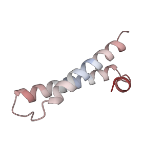 21494_6vzj_e_v1-1
Escherichia coli transcription-translation complex A1 (TTC-A1) containing mRNA with a 15 nt long spacer, fMet-tRNAs at E-site and P-site, and lacking transcription factor NusG