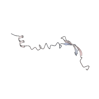 21494_6vzj_g_v1-1
Escherichia coli transcription-translation complex A1 (TTC-A1) containing mRNA with a 15 nt long spacer, fMet-tRNAs at E-site and P-site, and lacking transcription factor NusG