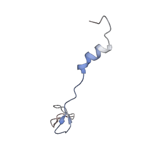 21494_6vzj_i_v1-1
Escherichia coli transcription-translation complex A1 (TTC-A1) containing mRNA with a 15 nt long spacer, fMet-tRNAs at E-site and P-site, and lacking transcription factor NusG