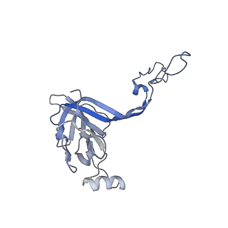 21494_6vzj_j_v1-1
Escherichia coli transcription-translation complex A1 (TTC-A1) containing mRNA with a 15 nt long spacer, fMet-tRNAs at E-site and P-site, and lacking transcription factor NusG