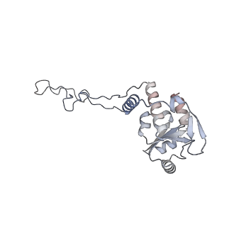 21494_6vzj_l_v1-1
Escherichia coli transcription-translation complex A1 (TTC-A1) containing mRNA with a 15 nt long spacer, fMet-tRNAs at E-site and P-site, and lacking transcription factor NusG
