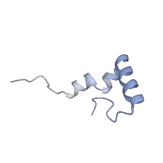 21494_6vzj_m_v1-1
Escherichia coli transcription-translation complex A1 (TTC-A1) containing mRNA with a 15 nt long spacer, fMet-tRNAs at E-site and P-site, and lacking transcription factor NusG