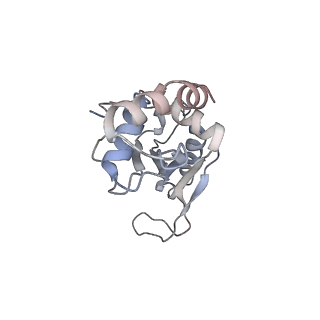 21494_6vzj_n_v1-1
Escherichia coli transcription-translation complex A1 (TTC-A1) containing mRNA with a 15 nt long spacer, fMet-tRNAs at E-site and P-site, and lacking transcription factor NusG