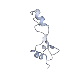 21494_6vzj_o_v1-1
Escherichia coli transcription-translation complex A1 (TTC-A1) containing mRNA with a 15 nt long spacer, fMet-tRNAs at E-site and P-site, and lacking transcription factor NusG