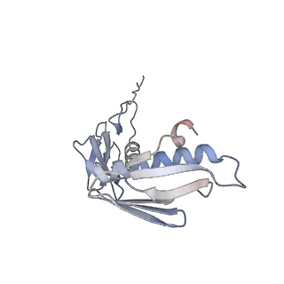 21494_6vzj_p_v1-1
Escherichia coli transcription-translation complex A1 (TTC-A1) containing mRNA with a 15 nt long spacer, fMet-tRNAs at E-site and P-site, and lacking transcription factor NusG