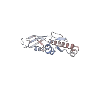 21494_6vzj_r_v1-1
Escherichia coli transcription-translation complex A1 (TTC-A1) containing mRNA with a 15 nt long spacer, fMet-tRNAs at E-site and P-site, and lacking transcription factor NusG