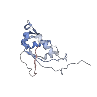 21494_6vzj_s_v1-1
Escherichia coli transcription-translation complex A1 (TTC-A1) containing mRNA with a 15 nt long spacer, fMet-tRNAs at E-site and P-site, and lacking transcription factor NusG