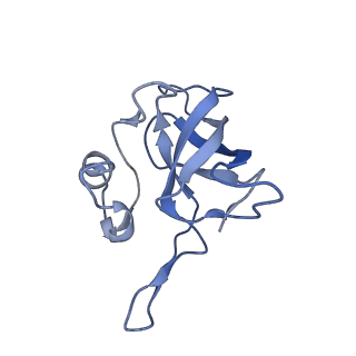 21494_6vzj_t_v1-1
Escherichia coli transcription-translation complex A1 (TTC-A1) containing mRNA with a 15 nt long spacer, fMet-tRNAs at E-site and P-site, and lacking transcription factor NusG