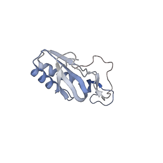 21494_6vzj_v_v1-1
Escherichia coli transcription-translation complex A1 (TTC-A1) containing mRNA with a 15 nt long spacer, fMet-tRNAs at E-site and P-site, and lacking transcription factor NusG