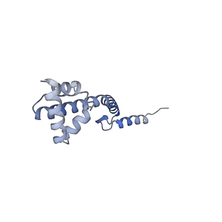 21494_6vzj_z_v1-1
Escherichia coli transcription-translation complex A1 (TTC-A1) containing mRNA with a 15 nt long spacer, fMet-tRNAs at E-site and P-site, and lacking transcription factor NusG