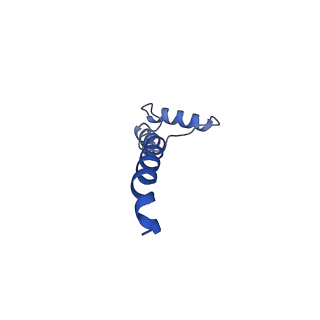 32222_7vz8_S_v1-1
Membrane arm of deactive state CI from Q1-NADH dataset