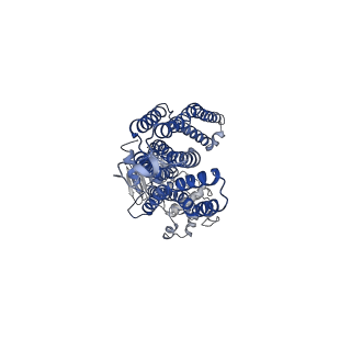 32224_7vzb_B_v1-2
Cryo-EM structure of C22:0-CoA bound human very long-chain fatty acid ABC transporter ABCD1