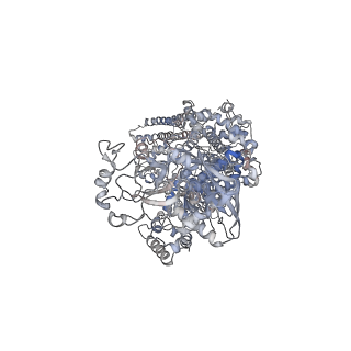 32238_7w0c_A_v1-3
Dicer2-Loqs-PD-dsRNA complex at early-translocation state