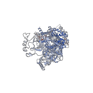 32239_7w0d_A_v1-3
Dicer2-LoqsPD-dsRNA complex at mid-translocation state