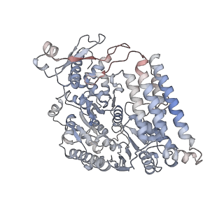 32239_7w0d_F_v1-3
Dicer2-LoqsPD-dsRNA complex at mid-translocation state