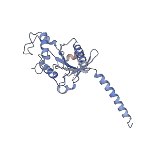32243_7w0l_A_v1-1
Cryo-EM structure of a dimeric GPCR-Gi complex with small molecule