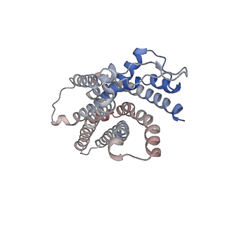 32243_7w0l_Q_v1-1
Cryo-EM structure of a dimeric GPCR-Gi complex with small molecule
