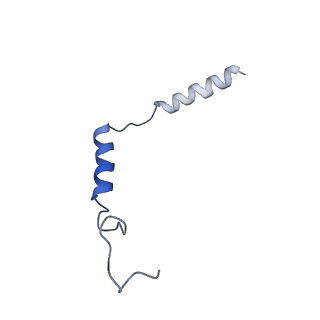 32244_7w0m_C_v1-0
Cryo-EM structure of a monomeric GPCR-Gi complex with small molecule