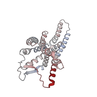 32244_7w0m_R_v1-0
Cryo-EM structure of a monomeric GPCR-Gi complex with small molecule