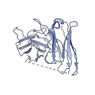 32244_7w0m_S_v1-0
Cryo-EM structure of a monomeric GPCR-Gi complex with small molecule