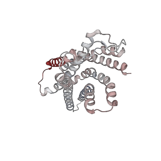 32245_7w0n_Q_v1-0
Cryo-EM structure of a dimeric GPCR-Gi complex with peptide