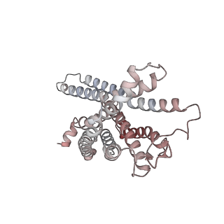 32245_7w0n_R_v1-0
Cryo-EM structure of a dimeric GPCR-Gi complex with peptide