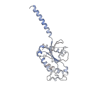 32246_7w0o_A_v1-0
Cryo-EM structure of a monomeric GPCR-Gi complex with peptide