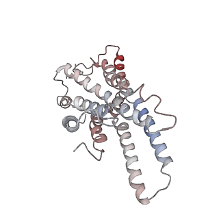 32246_7w0o_R_v1-0
Cryo-EM structure of a monomeric GPCR-Gi complex with peptide