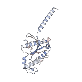 32247_7w0p_A_v1-0
Cryo-EM structure of a GPCR-Gi complex with peptide