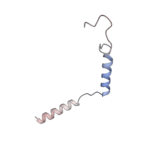 32247_7w0p_C_v1-0
Cryo-EM structure of a GPCR-Gi complex with peptide