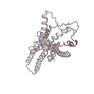 32247_7w0p_R_v1-0
Cryo-EM structure of a GPCR-Gi complex with peptide
