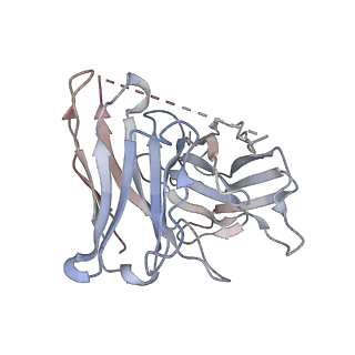 32247_7w0p_S_v1-0
Cryo-EM structure of a GPCR-Gi complex with peptide