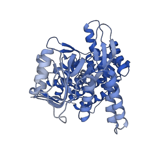 8750_5w0s_B_v1-4
GroEL using cryoEM