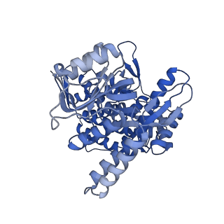 8750_5w0s_C_v1-4
GroEL using cryoEM