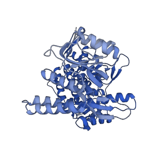 8750_5w0s_D_v1-4
GroEL using cryoEM