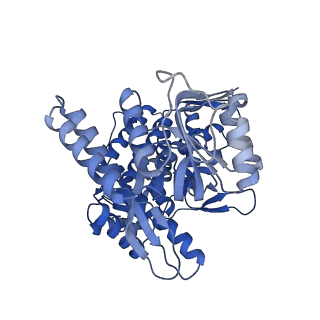 8750_5w0s_E_v1-4
GroEL using cryoEM